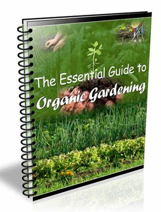 Essential Guide to Organic Gardening